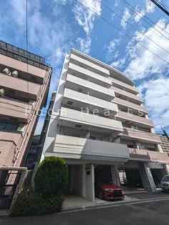 ノス ダルジョンの画像