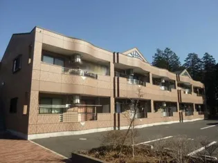 PEACEFUL FORESTの画像