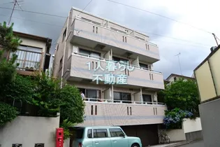 ドミール コージの画像