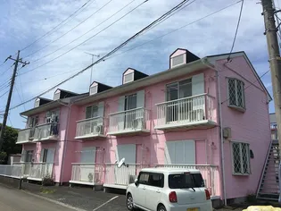 神奈川県厚木市下川入【アパート】の外観