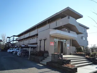 ヴェルドミールの画像