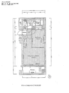 グランハイツ白金【3階】の間取り
