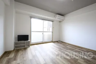 サンフラワーの画像