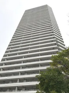 コットンハーバータワーズベイウエストの画像