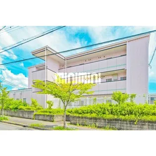 フローラ 阪野の画像