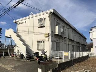 センチュリーピラの画像