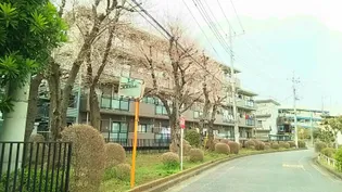 リヴェール シモの画像