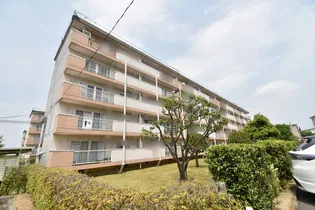 UR金剛の画像