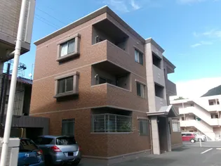 プリムローズの画像