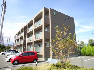 ジューンベリーの画像