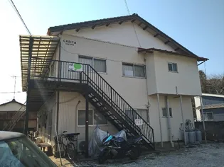 カシータサクラの画像