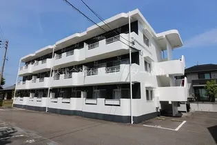 プリムローズの画像