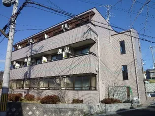 ステラマンション【1階】の外観