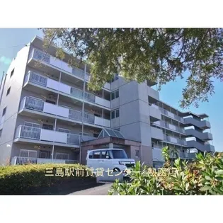 メゾンミタ【4階】の外観