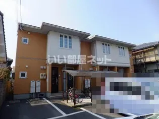 カリッサ ビアンコの画像