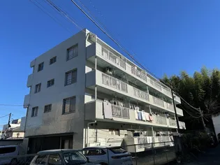 HEIDENS UPPER SHRINE1の画像