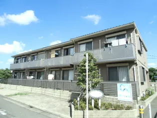 プランドールの画像