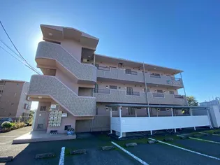 グランマレ デュオの画像