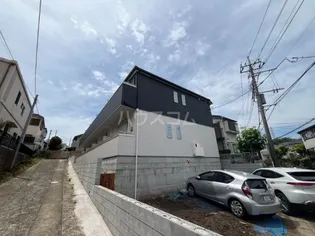 サクラノキタの画像