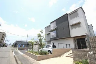 MAST ハレルアナの画像