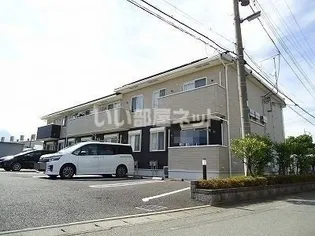 ポプルスBの画像