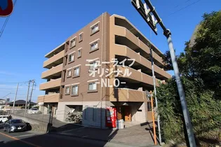 NATURA REGALOの画像