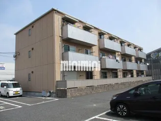 シャンテミヤの画像