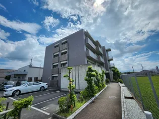 アニモ華の画像