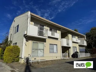 タウニー樹里Fの画像