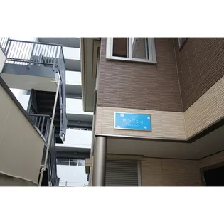 サンゴジュの画像