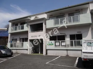 サンファミリアの画像