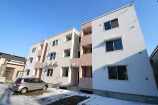 SEI LUCIDO発寒の画像