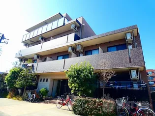 REFINADO PISOの画像