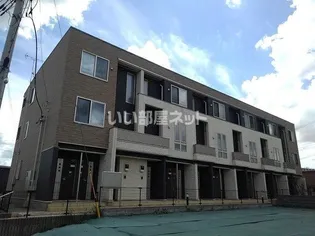 プラシードの画像