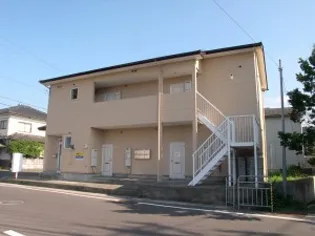 パインIIの画像