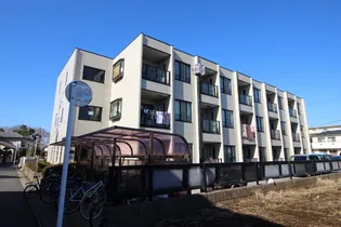 シャンドゥクールの画像