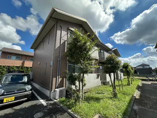 M STAGEIIの画像