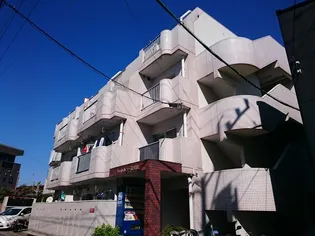 鹿児島県鹿児島市紫原7【マンション】の外観