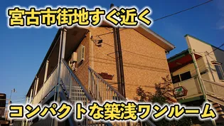 リトルウイングの画像