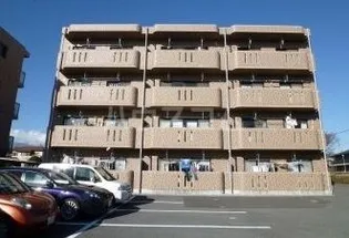 ジェンティーレの画像