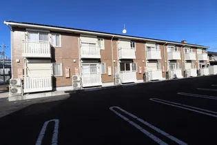 ミッシェルの画像