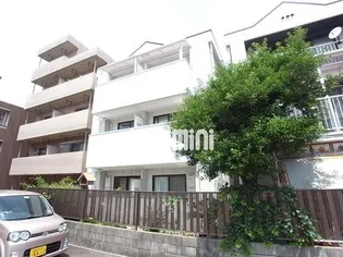 ウィステリア403【3階】の外観