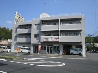 グランドハイム木の上の画像