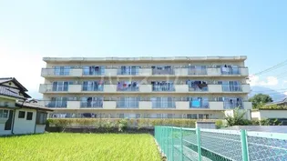 ブループランツの画像
