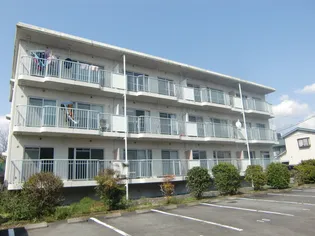 グレースメゾンの画像