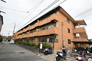 ヴィラクイーンの画像