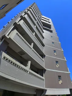 エクセリア大山【8階】の外観