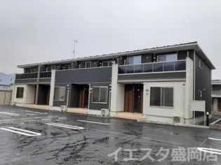 プリムラの画像