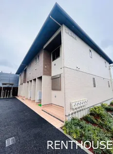 メイプルの画像