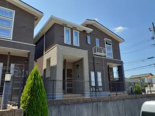 プラシードK Bの画像